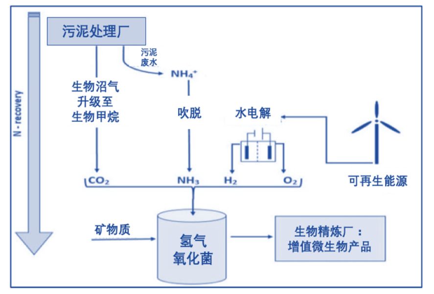 冷却工艺