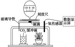 推车与偶氮化工艺判定的区别