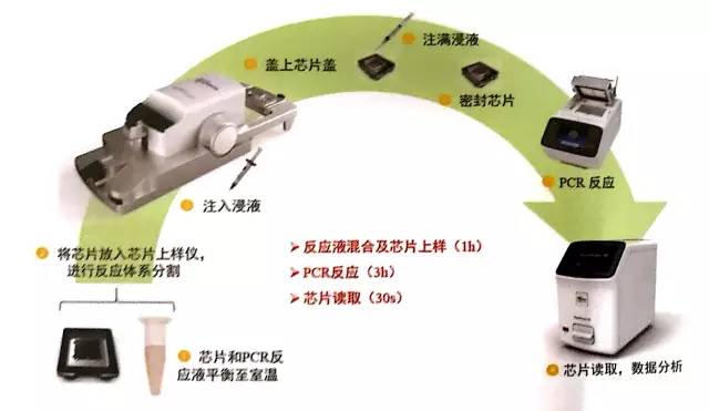 pcr扩增仪工作原理