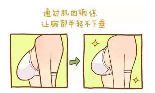 女孩子怎么丰胸