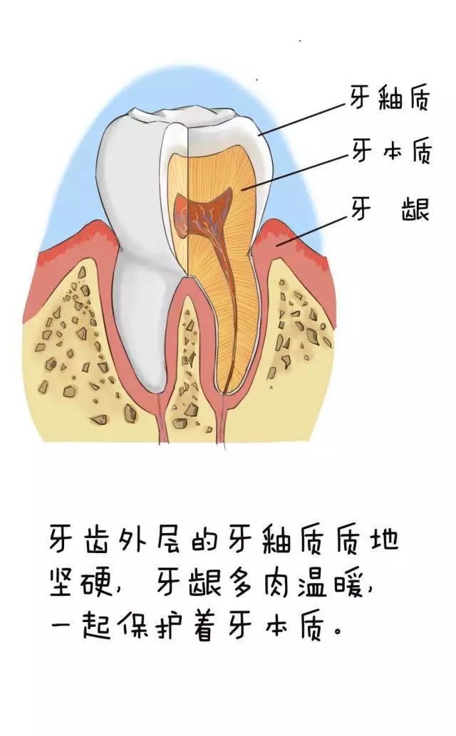 牙体种植后多久可以抽烟喝酒