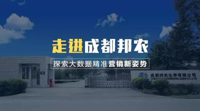 2025新奥门资料最精准免费大全