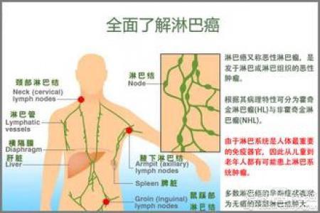 脖子淋巴癌早期症状图片视频,脖子淋巴癌早期症状解析，图片视频与数据支持策略专业探讨,创新定义方案剖析_琼版37.87.30