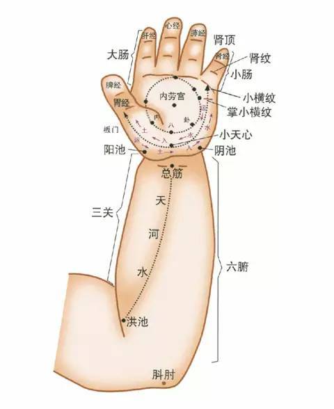 推拿按摩图片手法,推拿按摩图片手法详解与实地验证方案策略——社交版探索,连贯性方法评估_经典款45.88.28