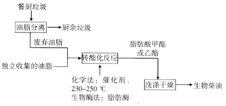 垃圾饲料化,垃圾饲料化与精细分析解释定义，一种环保与资源再利用的新视角,数据资料解释定义_XT29.67.80