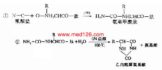 蛋白离子交换层析实验报告,蛋白离子交换层析实验报告，实地计划验证策略与碑版分析,管家婆大小中特_FT34.22.39