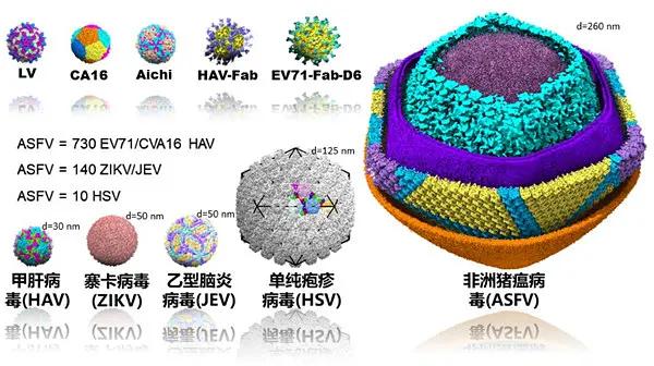 竹编品与填料的概念是什么,竹编品与填料的概念解析及科学评估说明,实证研究解释定义_高级款87.64.89