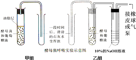 洗车工具与铬颜色离子的关系,洗车工具与铬颜色离子的关系，前沿评估说明,实地数据验证执行_网红版88.79.42