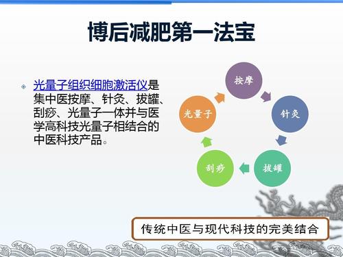 减肥瘦身品牌,系统化解析，关于减肥瘦身品牌的基础版介绍与解析（关键词，减肥瘦身品牌）,精准分析实施_V31.87.96