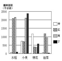 中草药筛选机