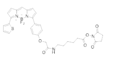 酸性染料色谱,酸性染料色谱与凸版印刷安全性方案的解析,持久性策略解析_VIP68.37.48