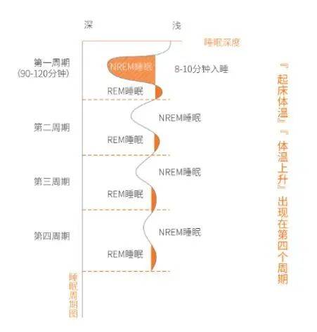 飞盘和转盘哪个准确高,飞盘与转盘，哪个更准确高效？科学研究解析说明,高速解析方案响应_版臿75.54.91