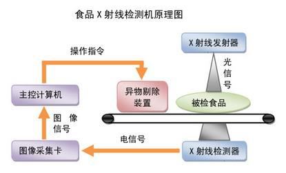 传输设备与动物食品品牌的关系