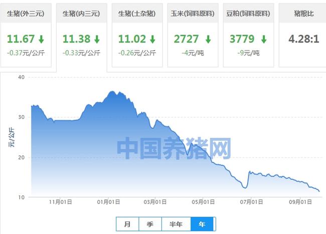 香港历史记录近15期查询,香港历史记录近15期查询与持久方案设计_SP88.55.17的探索,数据分析驱动决策_HarmonyOS90.12.46