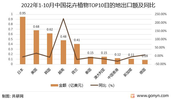 2022年香港资料大全,关于香港地区在2022年的最新资料分析预测，定义与解释的综合概述,权威研究解释定义_XP52.33.48