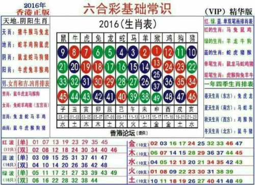 2024十二生肖49码表,关于十二生肖与数字编码的奥秘，持续解析方案的文章,创新设计计划_轻量版41.65.50