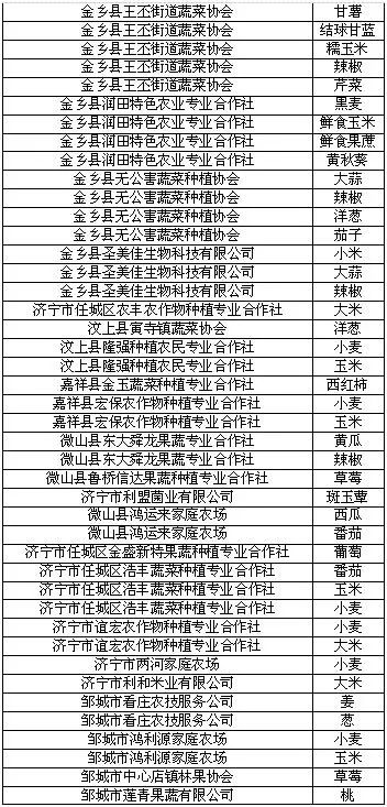 118:CC网址之家,探索118CC网址之家，平衡指导策略的新境界,实际数据说明_1080p31.31.77