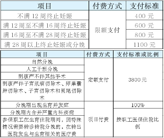 澳门最准最快的免费的,澳门最准最快的免费综合计划定义评估系统，探索未来无限可能,实地验证分析数据_版床12.30.43