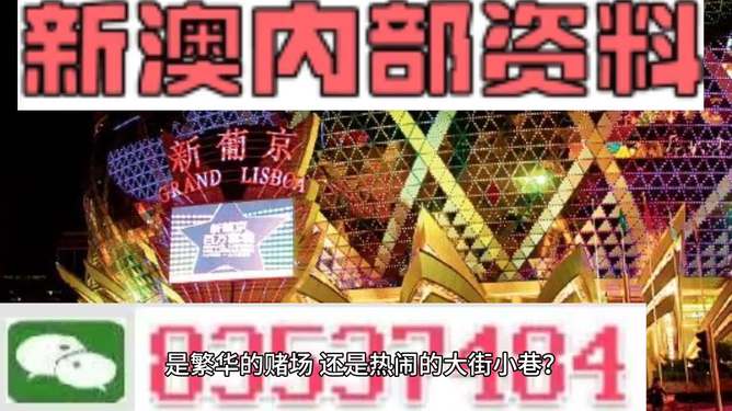 新澳资料大全正版2024金算盘,新澳资料大全正版2024金算盘，深入执行计划的探索与实践,深层数据计划实施_体验版47.19.76