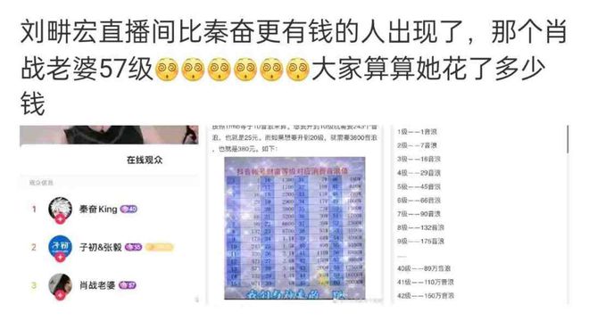 官老婆一码一肖资料免费大全,实地验证数据策略_V85.24.25