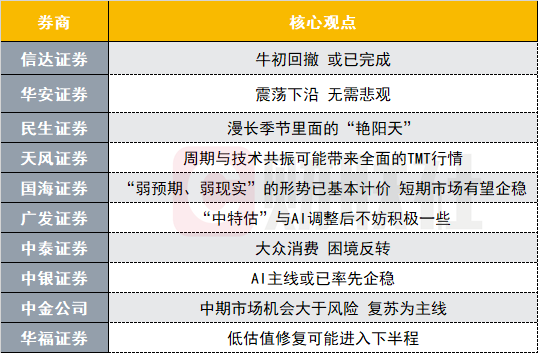 精细策略定义探讨