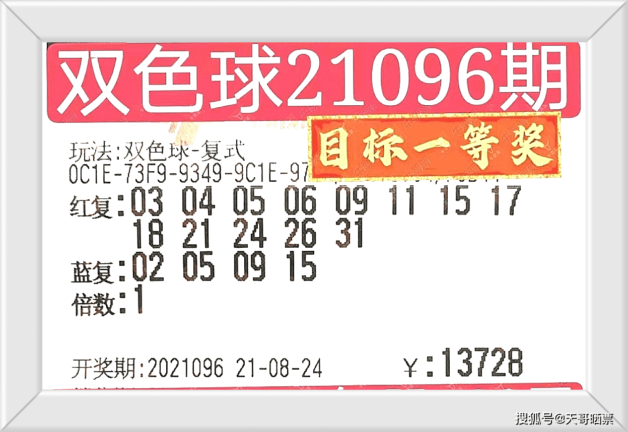 2024澳门今晚开奖号码