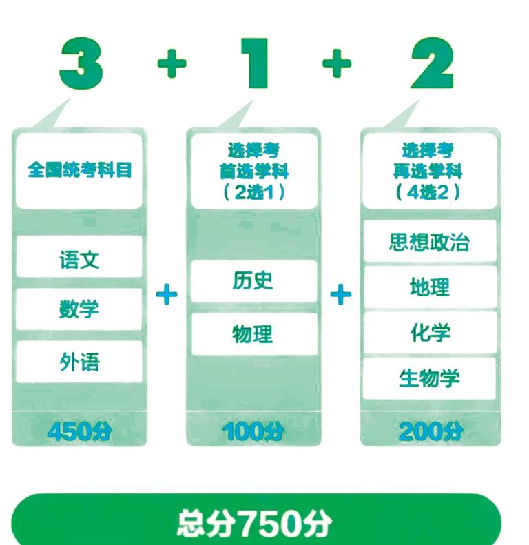 2025新澳门精准资料大全