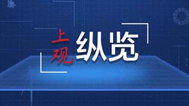 这些瞬间记录了温暖的2024