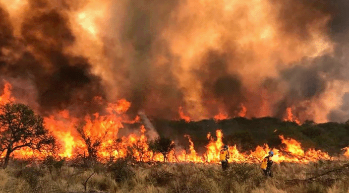 山火肆虐 拜登说好消息是当曾祖父了