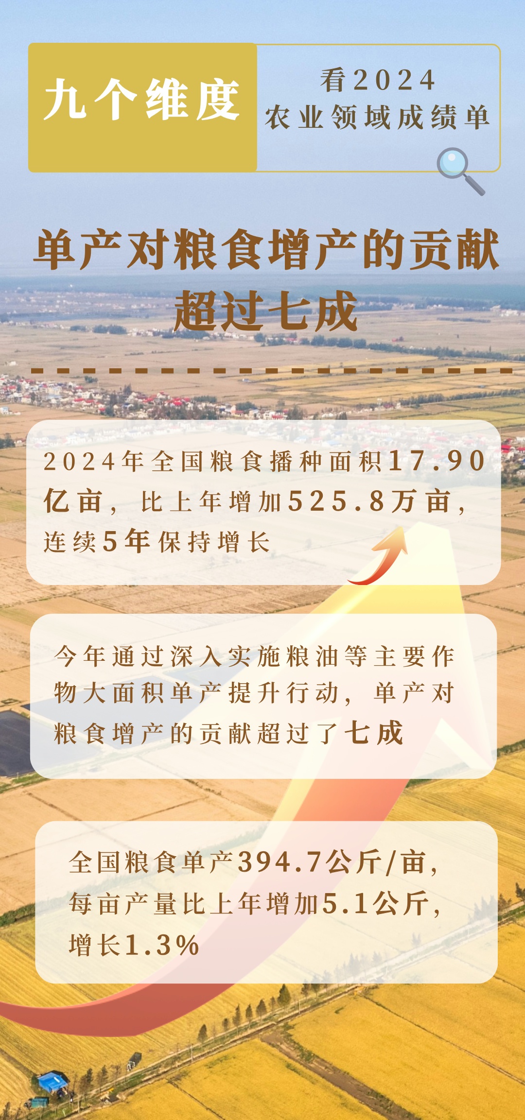 2024农业领域交出亮眼成绩单