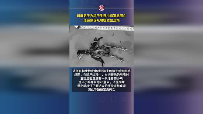 印度男子为求子生吞小鸡窒息而亡